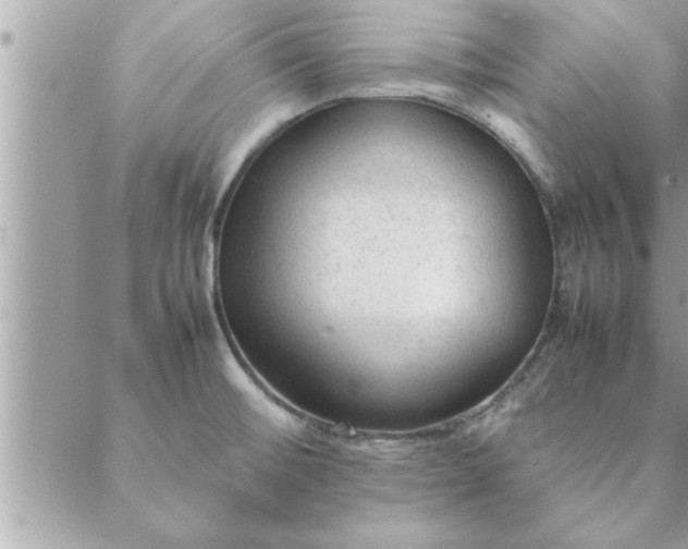 X0000088581476200706011100