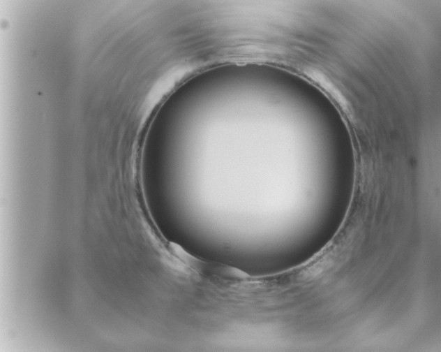 X0000088581477200706011100