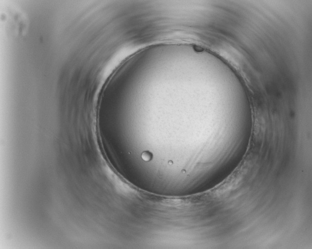 X0000088581478200706011100