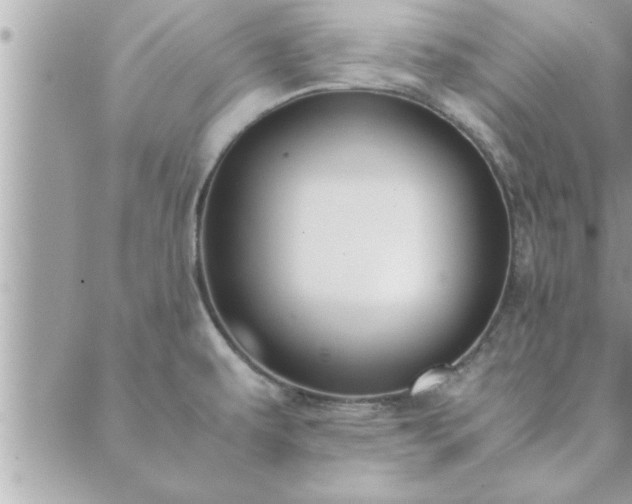 X0000088581479200706011100