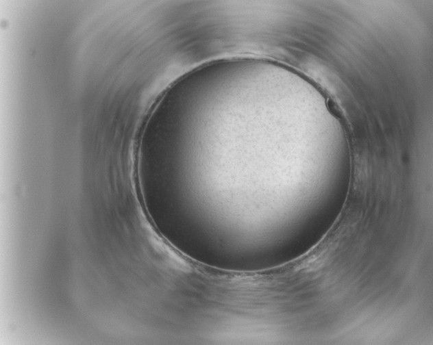 X0000088581480200706011100