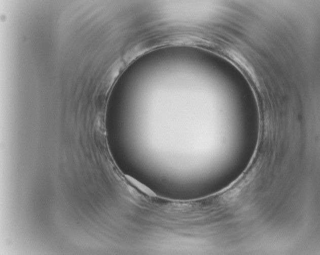 X0000088581481200706011100