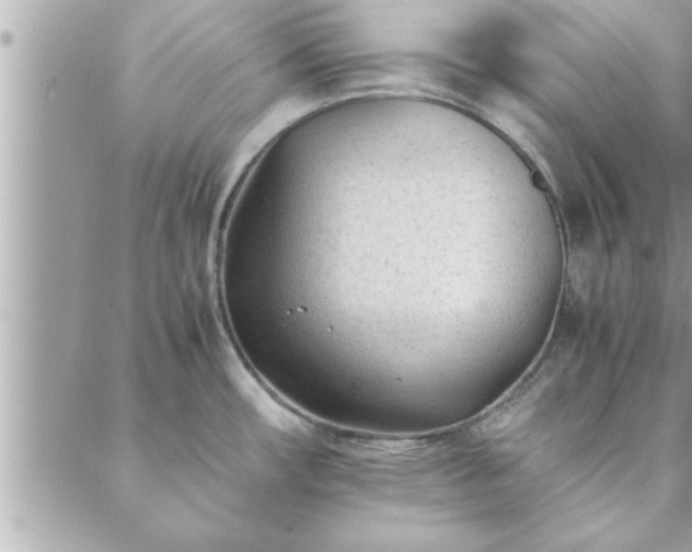 X0000088581482200706011100