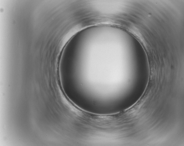 X0000088581483200706011100