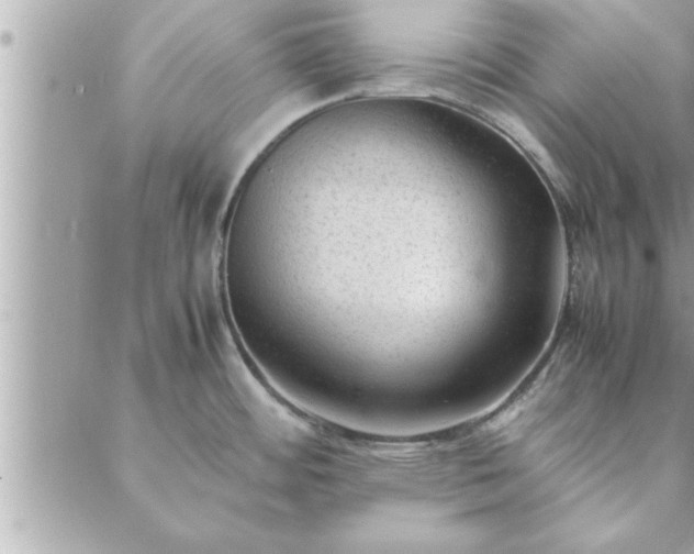 X0000088581484200706011100