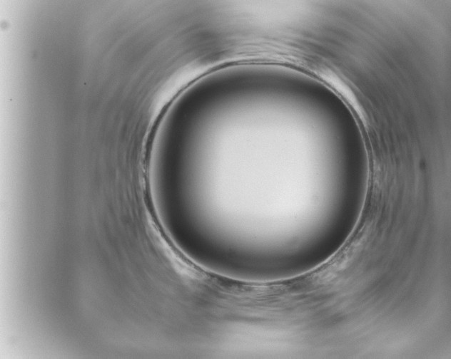 X0000088581485200706011100