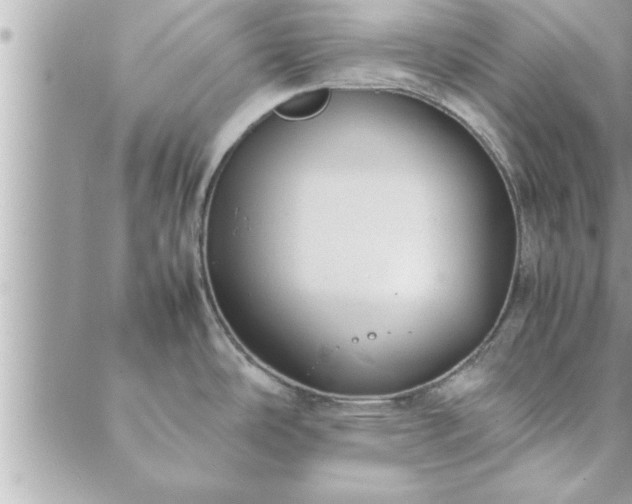 X0000088581486200706011100