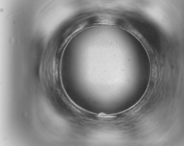 X0000088581487200706011100