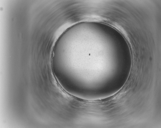 X0000088581488200706011100