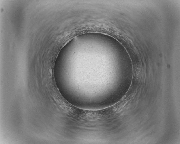 X0000088581489200706011059