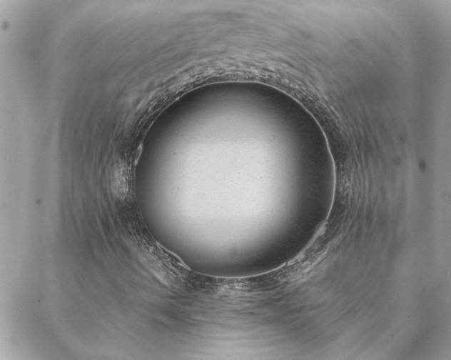 X0000088581490200706011059