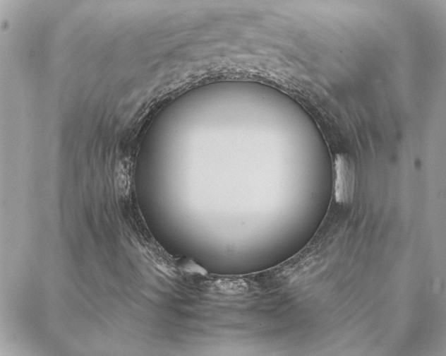 X0000088581491200706011059