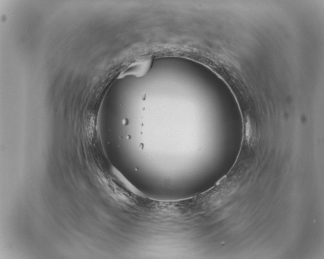 X0000088581492200706011059