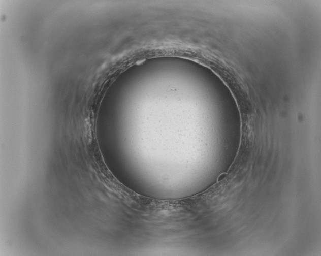 X0000088581493200706011059