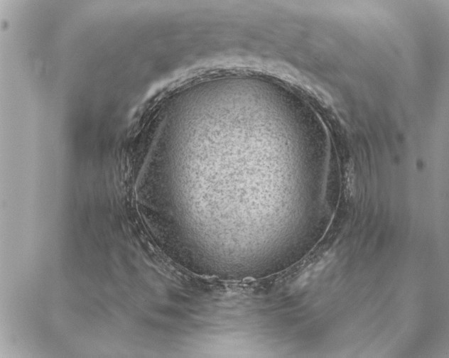 X0000088581494200706011059