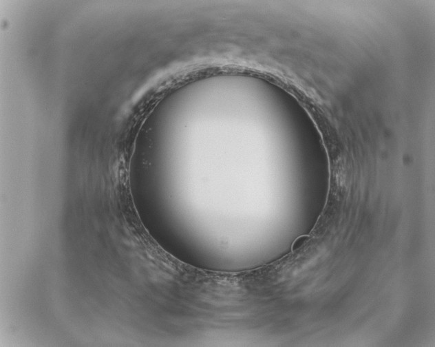 X0000088581495200706011059