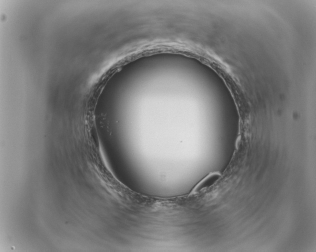 X0000088581496200706011059