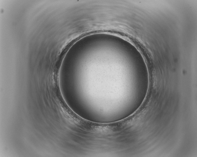 X0000088581497200706011059