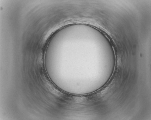 X0000088581498200706011059