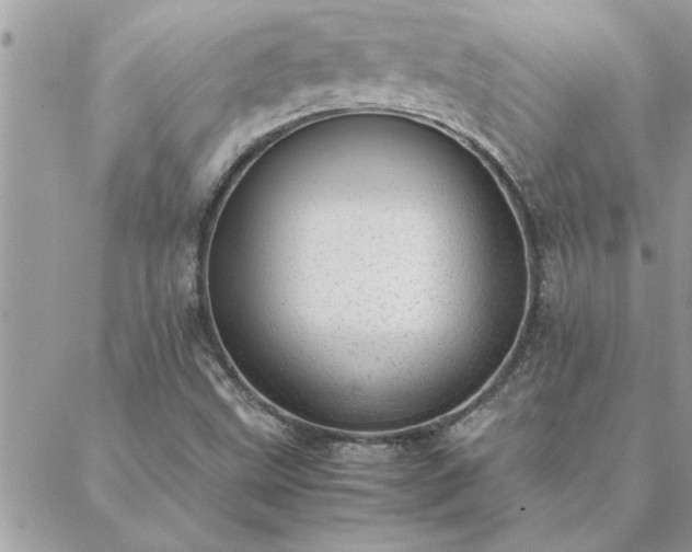 X0000088581499200706011059