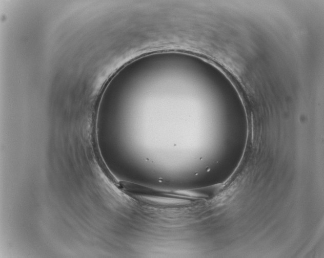 X0000088581500200706011059