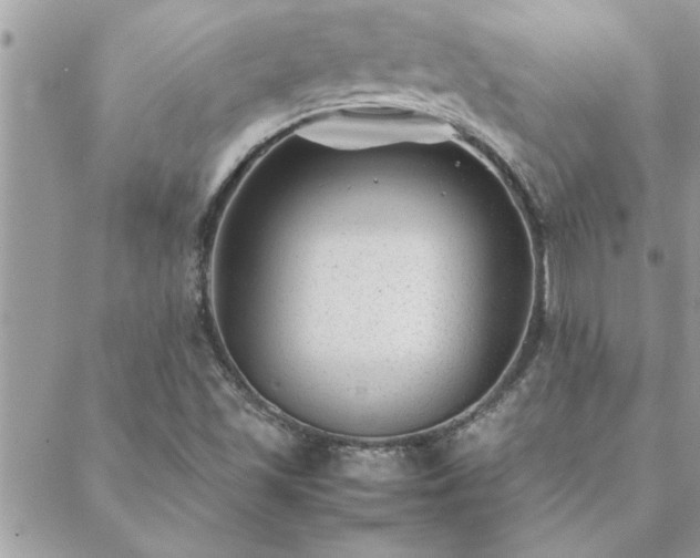 X0000088581501200706011059