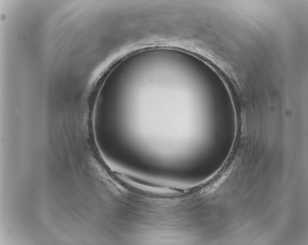 X0000088581502200706011059