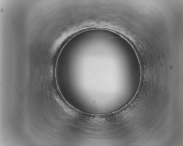 X0000088581503200706011059