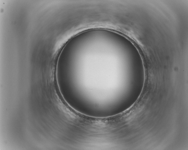 X0000088581504200706011100