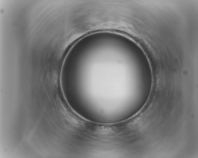 X0000088581505200706011100