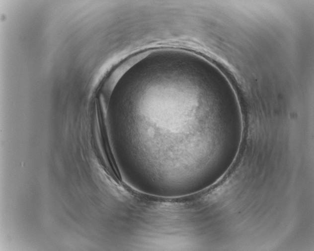 X0000088581506200706011100