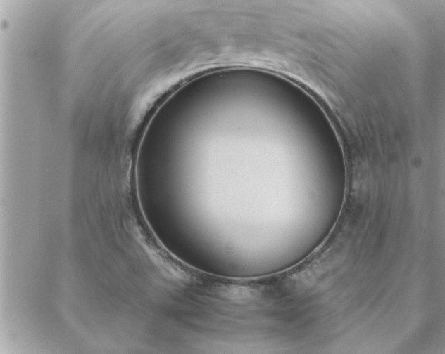 X0000088581507200706011100