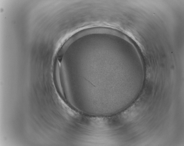 X0000088581508200706011100