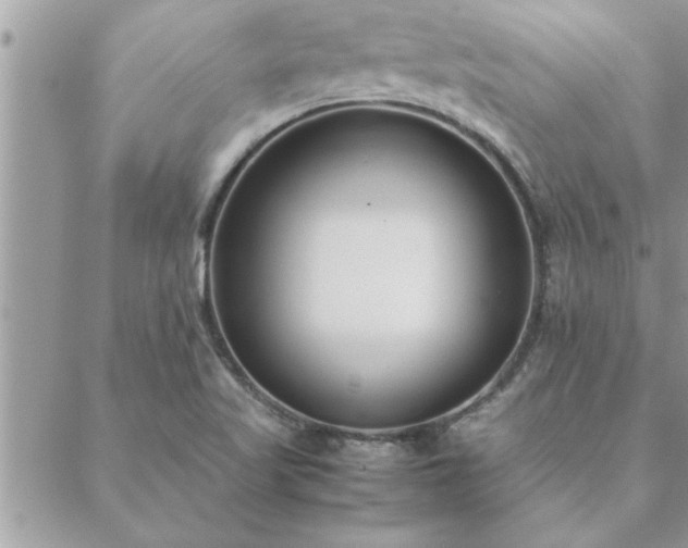 X0000088581509200706011100