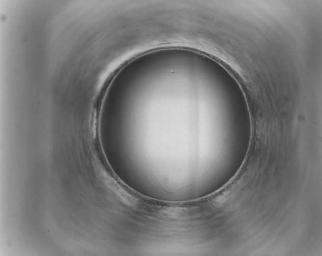 X0000088581510200706011100