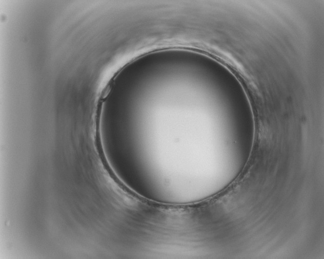 X0000088581512200706011100