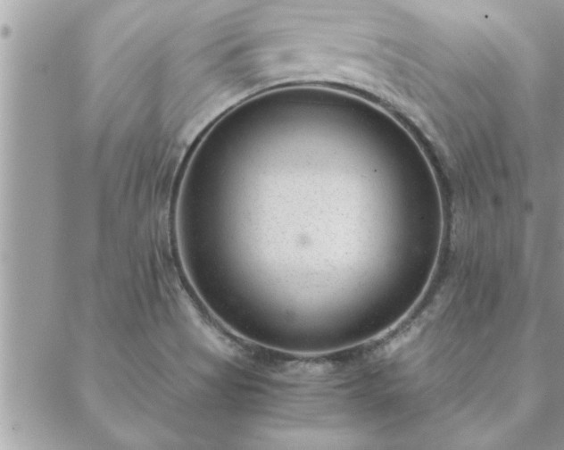 X0000088581513200706011100