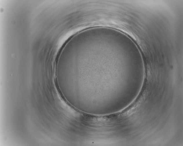 X0000088581515200706011100