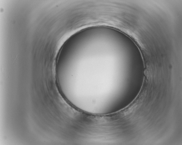 X0000088581516200706011100