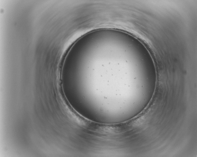 X0000088581517200706011100