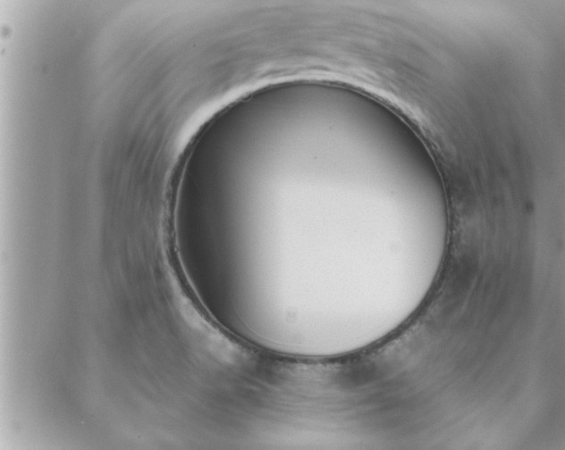 X0000088581518200706011100