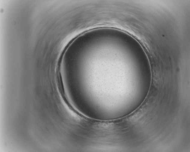 X0000088581519200706011100