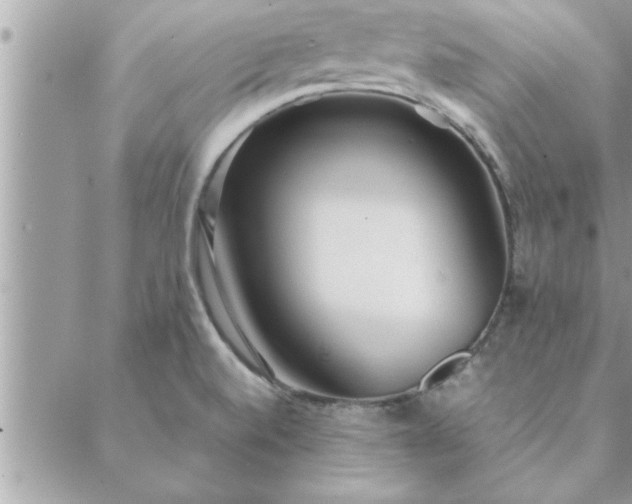 X0000088581520200706011100