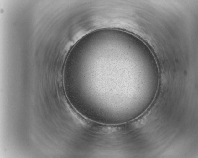 X0000088581521200706011100