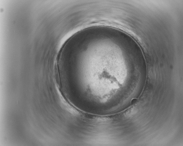 X0000088581522200706011100