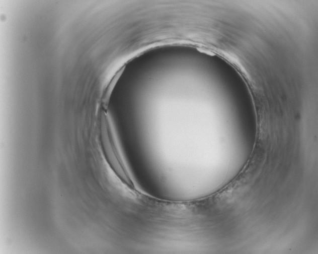 X0000088581524200706011100