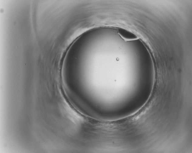 X0000088581525200706011100