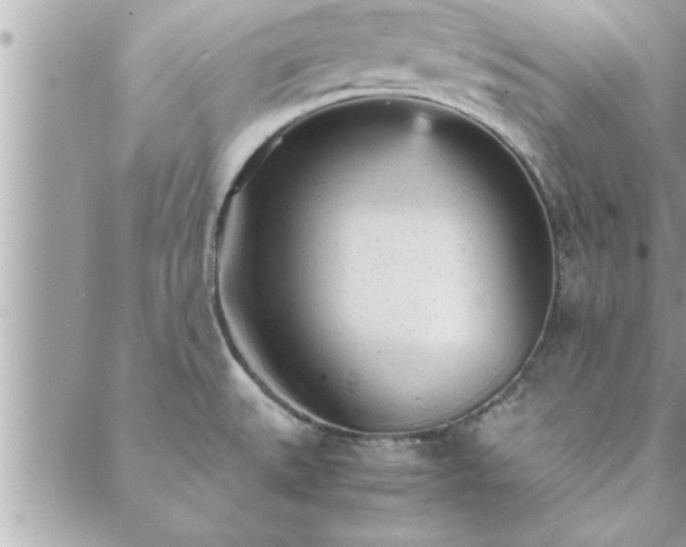 X0000088581527200706011100