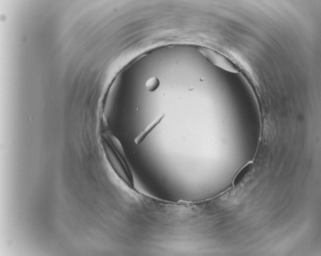 X0000088581528200706011100