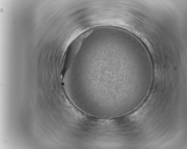 X0000088581529200706011100